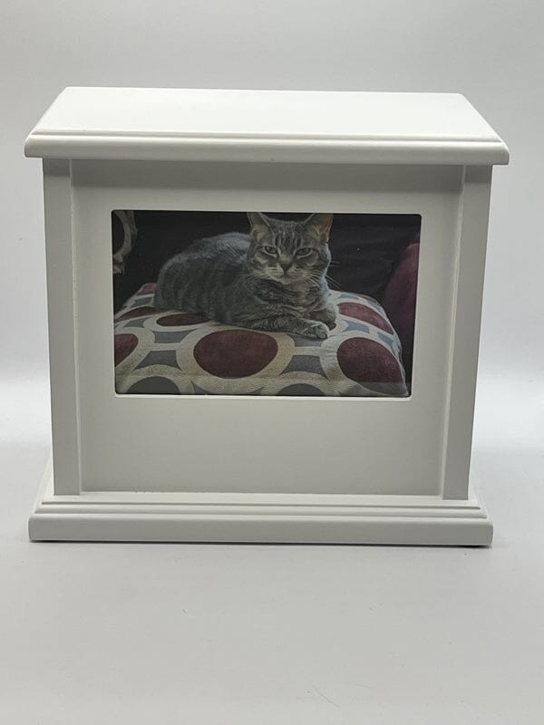 Dog Photo Urn.White Wood. Photo 4x6. 75lbs Pet Urns Pets Memories Forever 